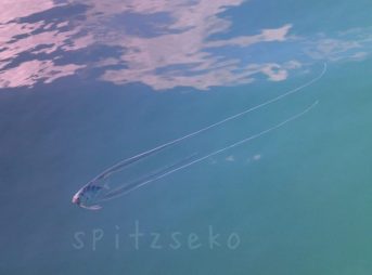 イトヒキアジyg 11/23/2014