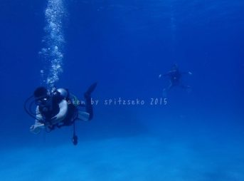 透明度絶好調~!!