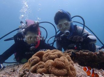 ありがとうございました~。