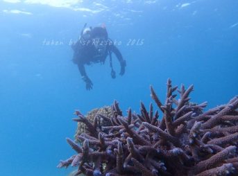 OW講習中ですが、すでに中性浮力ばっちり!!