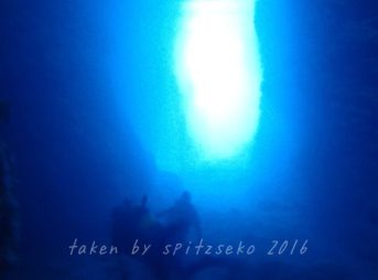 青の洞窟でほげぇ～