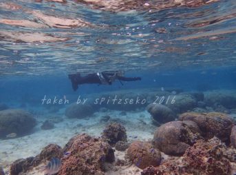 イノー内の水中風景