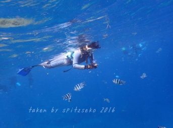 青の洞窟スノーケリング、気持ちいいぃぃぃ