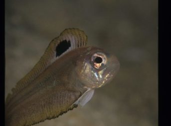 インドアカタチ