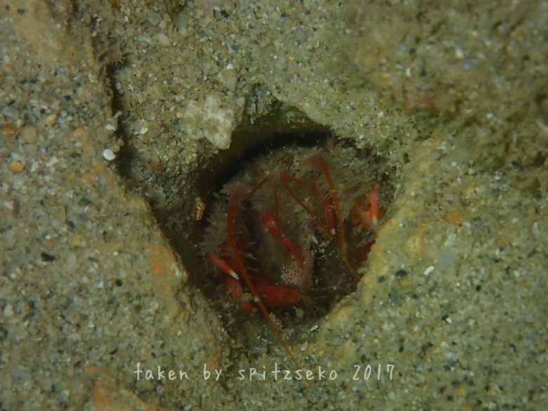 なんでしたっけ？