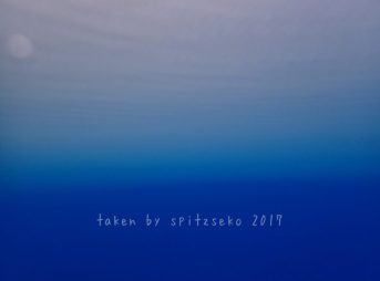 濁りたまる水面、不思議な美しさ