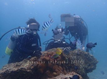 体験ダイビングしてきました