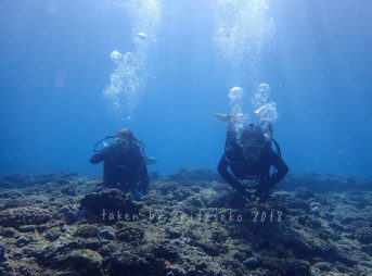 久しぶりのリハビリダイビング