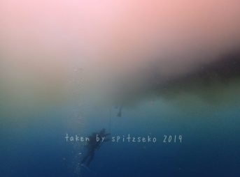 水面近くに濁った水がたまっています