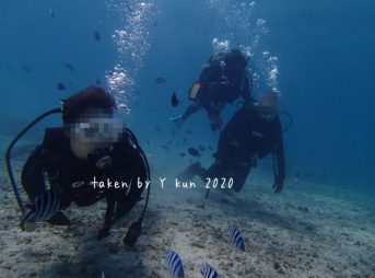 体験ダイビング