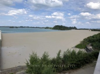 2021/11/10現在名護市仲尾次漁港軽石状況