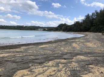 2021/11/22現在恩納村なかゆくいビーチ軽石状況