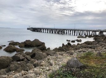 2021/12/21現在うるま市昆布ビーチ軽石状況