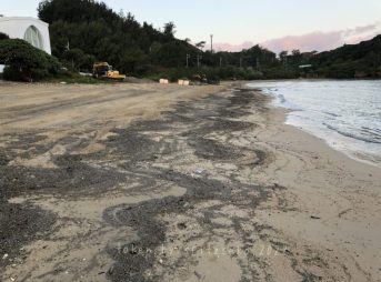 2022/1/28現在マリブビーチの軽石状況