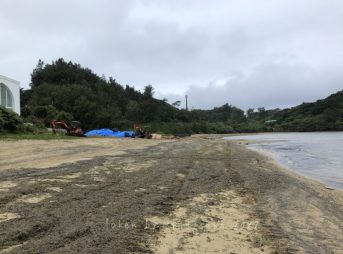 2022/1/29現在マリブビーチ軽石状況