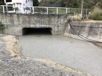 2022/1/31現在、マリブビーチ軽石状況