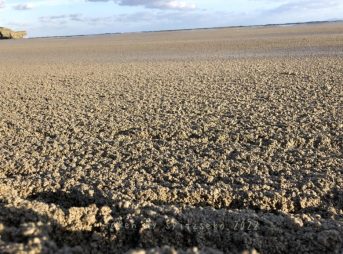 2022/1/21現在恩納村マリブビーチ軽石状況