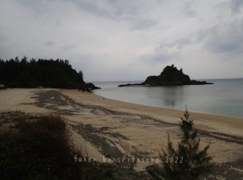 2022/1/5現在恩納村かりゆしビーチ軽石状況