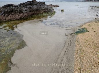 2022/2/13現在沖縄恩納村マリブビーチ東端の軽石状況