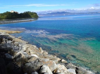 2021/12/24現在恩納村ブセナテラス軽石状況