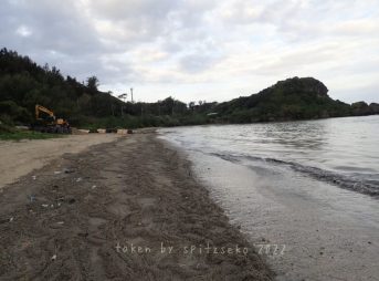 2022/2/1現在マリブビーチの軽石状況