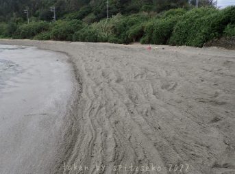 2022/2/21現在沖縄恩納村マリブビーチ最西端の軽石状況