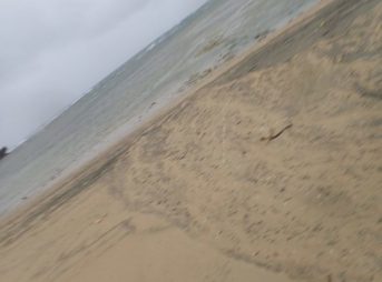 傘が折れた瞬間の画像