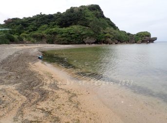 2022/2/26現在、沖縄恩納村マリブビーチ最西端の軽石状況