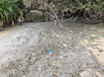 2022/3/25現在、沖縄恩納村マリブビーチ最西端の軽石状況