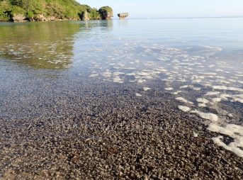 2022/3/1現在、沖縄恩納村マリブビーチ西端の軽石状況