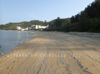 2022/3/3現在、沖縄恩納村マリブビーチ最西端の軽石状況