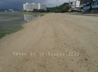 2022/3/4現在、沖縄恩納村マリブビーチ正面、出入り口付近の軽石状況