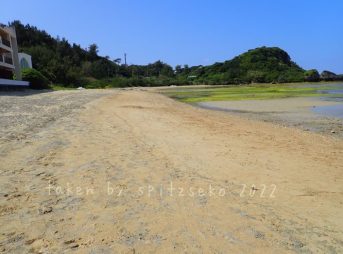 2022/3/5現在、沖縄恩納村マリブビーチ正面、出入り口付近の軽石状況