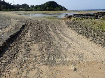 2022/3/6現在、沖縄恩納村マリブビーチ東端の軽石状況