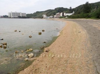 2022/3/11現在、沖縄恩納村マリブビーチ最西端の軽石状況