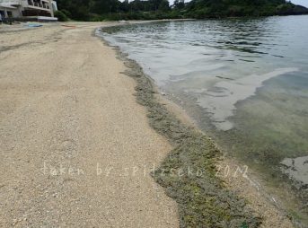 2022/3/15現在、沖縄恩納村マリブビーチ東端の軽石状況