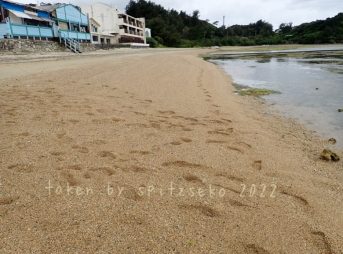 2022/3/17現在、沖縄恩納村マリブビーチ東端の軽石状況