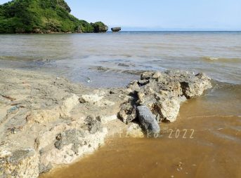 2022/3/18現在、沖縄恩納村マリブビーチ西端の川の軽石状況
