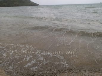 2022/3/22現在、沖縄恩納村マリブビーチ東端の軽石状況