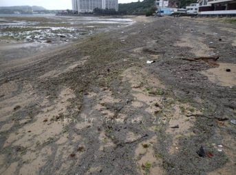 2022/3/23現在、沖縄恩納村マリブビーチ西端の軽石状況