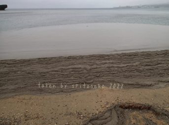 2022/3/26現在、沖縄恩納村マリブビーチ西端の軽石状況