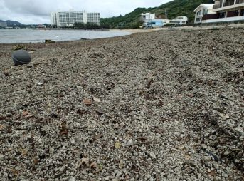 2022/3/29現在、沖縄恩納村マリブビーチ西端の軽石状況