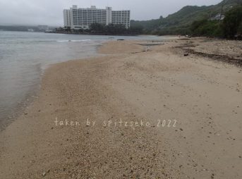 2022/3/30現在、沖縄恩納村マリブビーチ東端の軽石状況