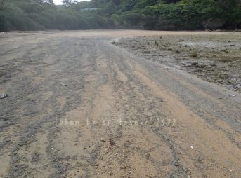 2022/4/4現在、沖縄恩納村マリブビーチ最西端の軽石状況