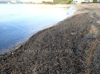 2022/5/12現在、沖縄恩納村マリブビーチ西端の軽石状況