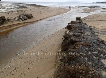 2022/5/20現在、沖縄恩納村マリブビーチ西端の軽石状況
